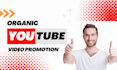 do organic youtube video promotion and channel monetization
