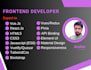 be your frontend vuejs developer