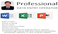 provide professional data entry and web scraping services