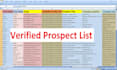 provide niche targeted email list, prospect list and b2b leads