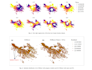 perform spatial and statistical analysis using python