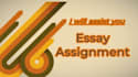 do all your essays, articles and summaries