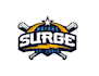 make a baseball logo design with unlimited revisions