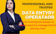 do excel data entry, email collection, and phone number