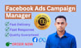 run facebook ads campaign manager, fb advertising, website traffic
