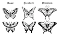 design a beautiful butterfly drawing