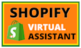 manage your shopify store as a full time shopify virtual assistant