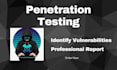 do website penetration testing, identify vulnerabilities