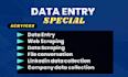 do accurate data entry, copy paste, scraping