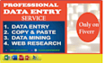 do fast and accurate data entry, cleaning and verification