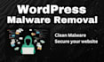 clean malware, website security, wordpress malware removal