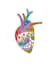 make drawings and sketches of anatomy for your project