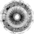 do detailed horoscope reading for any question or problem