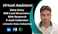 do efficient and accurate  data entry, web research, lead generation