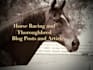 write horse racing or thoroughbred pedigree article or blog posts