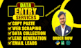 do data entry, copy paste, web scraping, data collection and lead generation