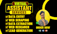 data entry, data extraction, web scraping, web research and lead generation