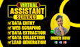 data entry, data extraction, web scraping and lead generation