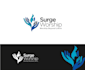 create a professional religious logo in 1 day