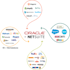 do netsuite suitetalk API integration