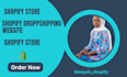 create shopify dropshipping store, shopify website