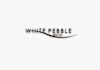 create a massage and wellness company classy logo