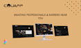 website development, website design and full stack developer