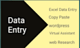 do data entry, copy paste work in excel