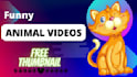 create a funny animals videos within 24 hours