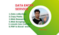 efficiently find the email, phone, websites excel data entry