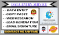 do accurate data entry,copy paste,lead generation,web research