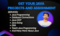 do java, servlets, jsp, javafx, debugging, dsa