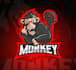 do make an modern custom monkey logo