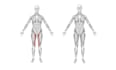 scientific illustration, diagram and figure