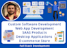 develop custom web app for your business