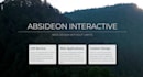 design and develop a custom website