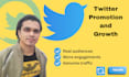do superfast twitter promotion and growth