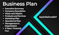 develop an investor ready business plan and financials for your startup