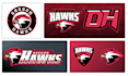design a professional sports or esports team logo