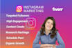 be your instagram marketing manager and content creator