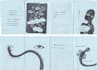 create a zine for you