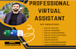 do web research, web scrapping, data mining and data input
