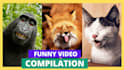 create amazing compilation video for youtube