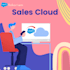 be your salesforce consultant developer and admin expert