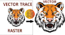 image to vector, redraw logo, cleanup, convert to vector