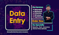 do data entry, excel, copy paste, web research, PDF typing