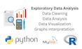perform exploratory data analysis and data visualization using python and r
