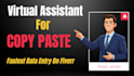 be your virtual assistant for copy paste and data entry