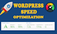 do wordpress website speed optimization with gtmetrix, google pagespeed insights