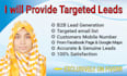 provide 100 targeted b2b leads